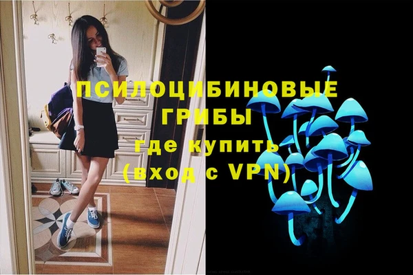 MESCALINE Надым