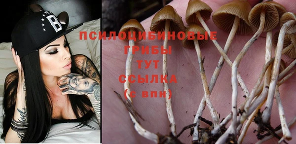 прущая мука Наволоки