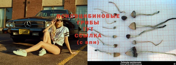 MESCALINE Надым