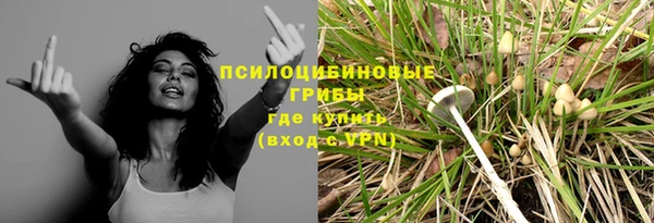 MESCALINE Надым