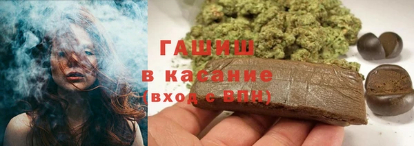 индика Заводоуковск